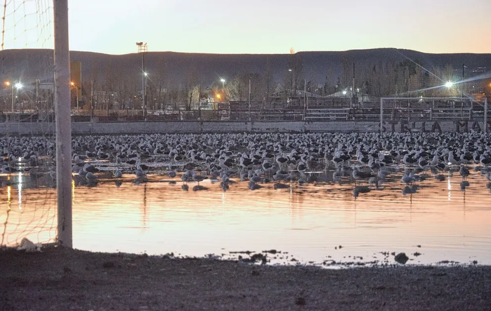 ¿Se vienen partidos postergados?