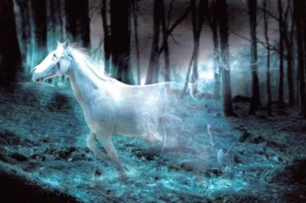 El misterio de las apariciones