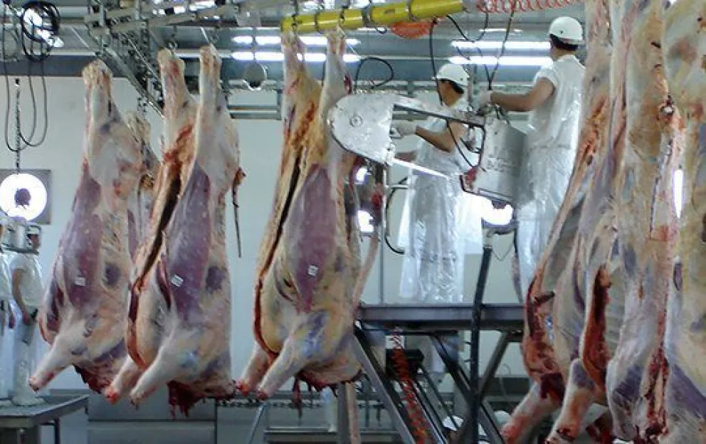 Carne: La faena fue abultada en julio, aunque sigue la tendencia a la baja