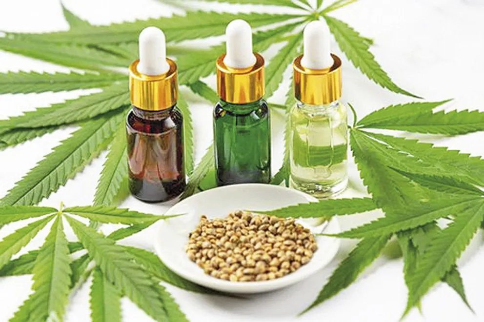 Concejo Deliberante: Esta semana continuarán avanzando con la ordenanza para regular el cannabis medicinal