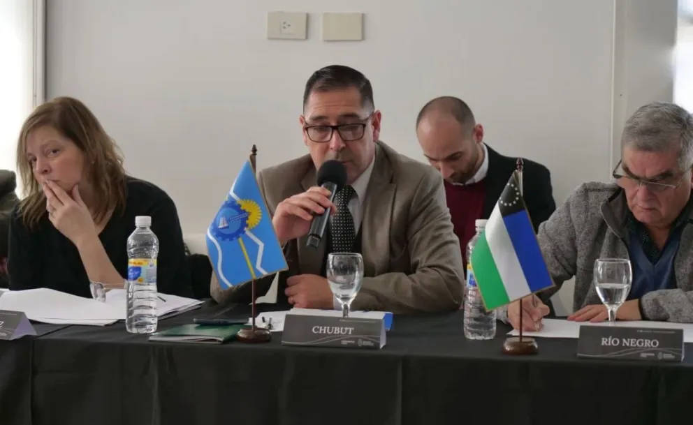 Chubut participó de un nuevo encuentro del Consejo Federal de Seguridad Vial