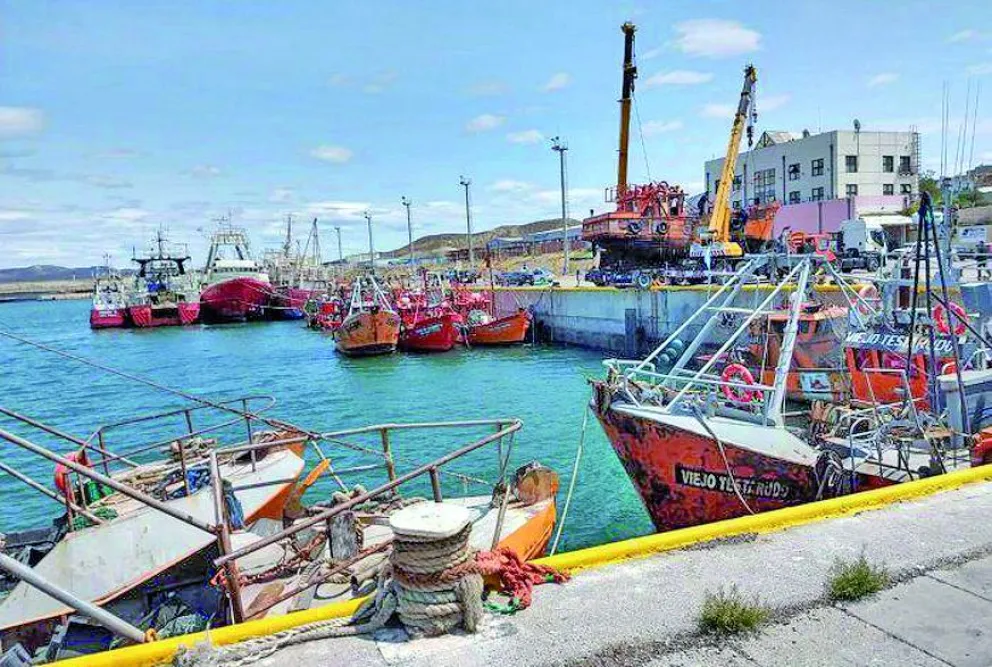“Si no hay una política clara que beneficie a la provincia, Santa Cruz no renovará la veda del golfo San Jorge”, dijo Martínez