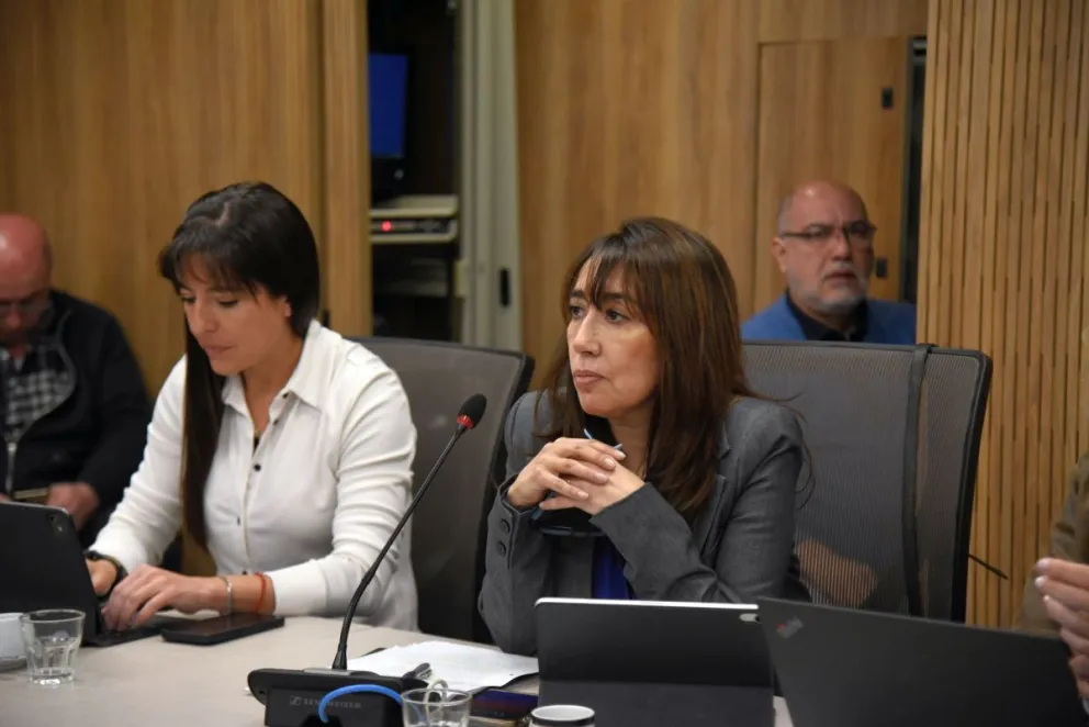 Avanza el proyecto de ley “Ficha Limpia” en el Congreso
