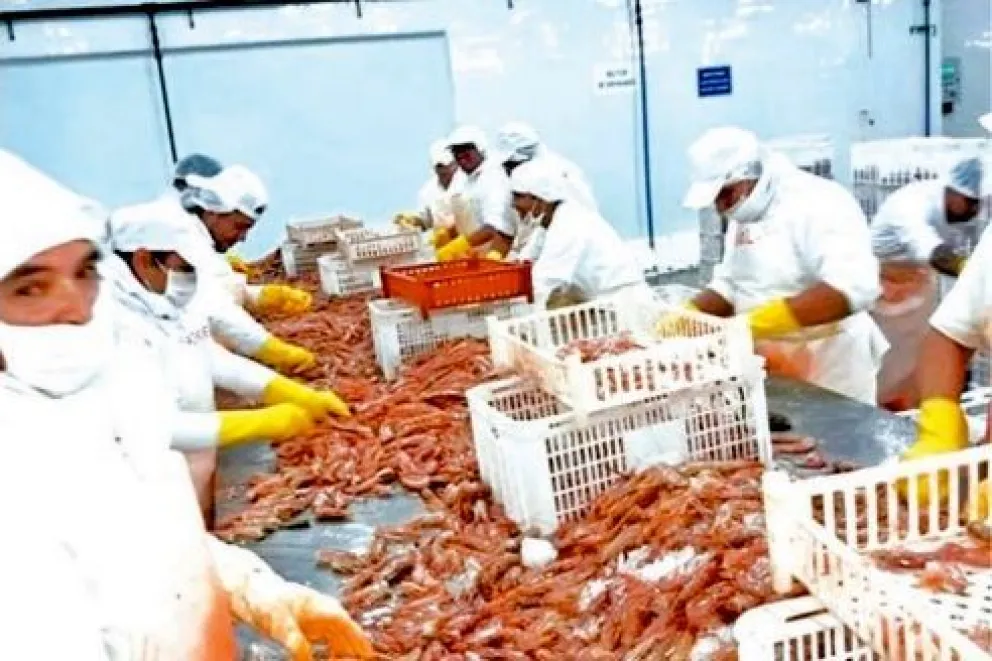 El langostino fue el principal producto de pesca exportado