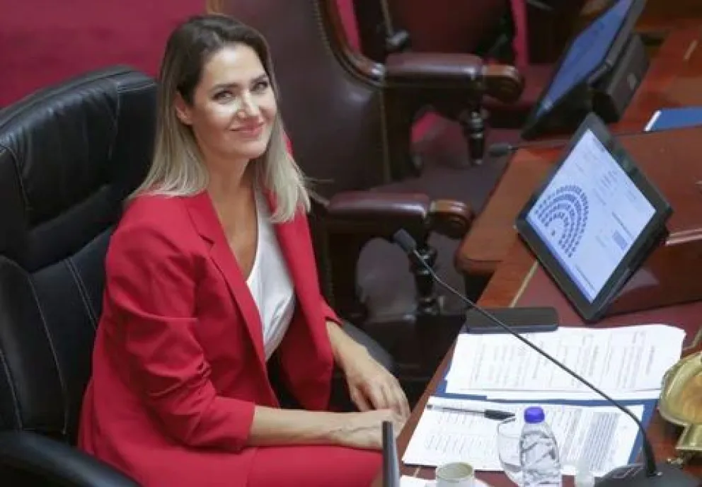 MARCHA ATRÁS: Presentaron nota en rechazo del aumento de las dietas de los senadores