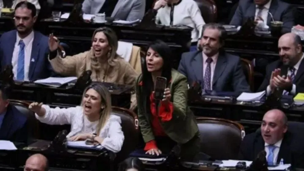 Fuerte discusión entre diputados de La Libertad Avanza y Lourdes Arrieta: pedido de expulsión y una presunta denuncia penal