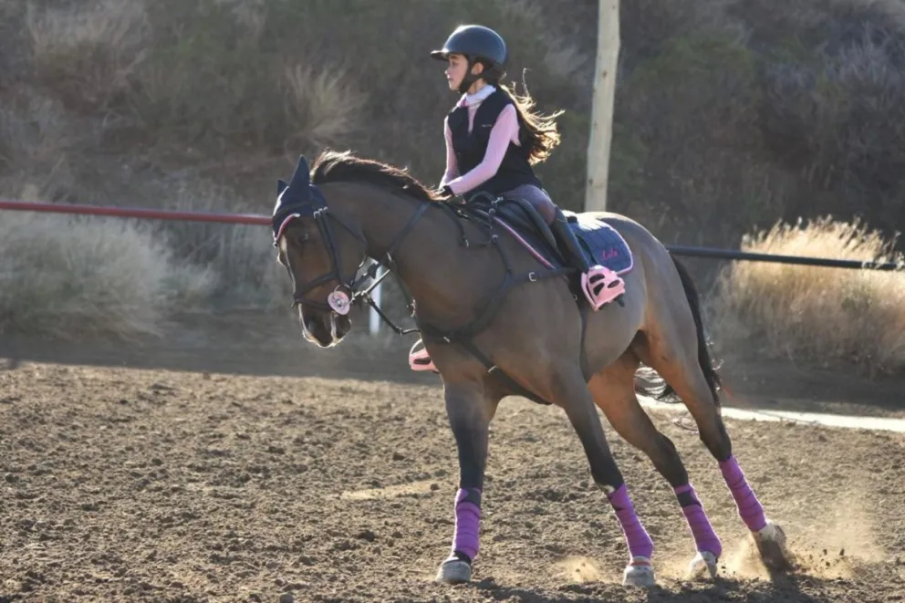 Haras El Cardenal, el lugar ideal para disfrutar de la equitación
