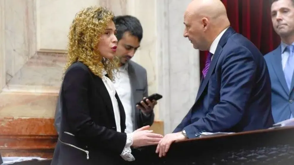 Otra denuncia de Lourdes Arrieta sobre "financiamiento" de los genocidas para "afectar a la agenda" de Milei