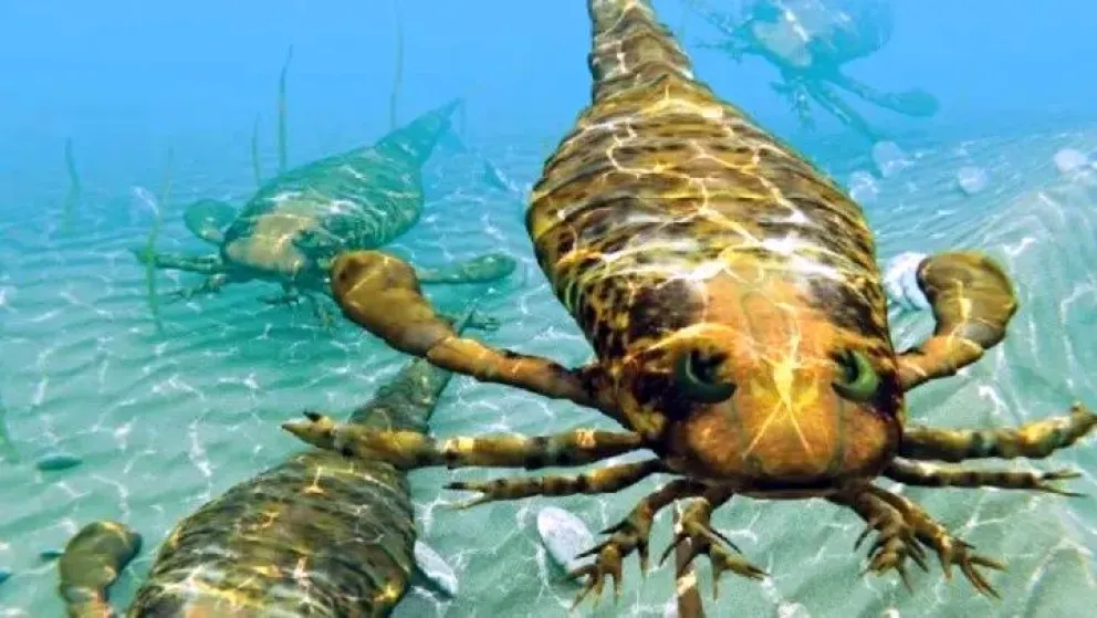 Investigadores hallaron escorpiones gigantes en el mar que miden más de dos metros