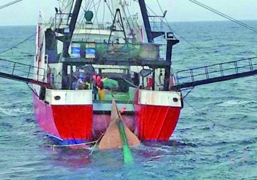 Langostino: ante la dramática caída de capturas realizan varias acciones para sostener la pesca