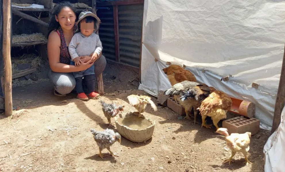 En Argentina, sólo un 5% de los hogares tiene una huerta o cría animales para el consumo de su familia