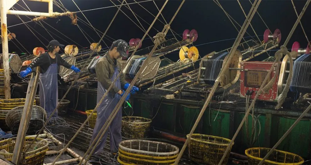 El oscuro negocio de la pesca china en aguas argentinas