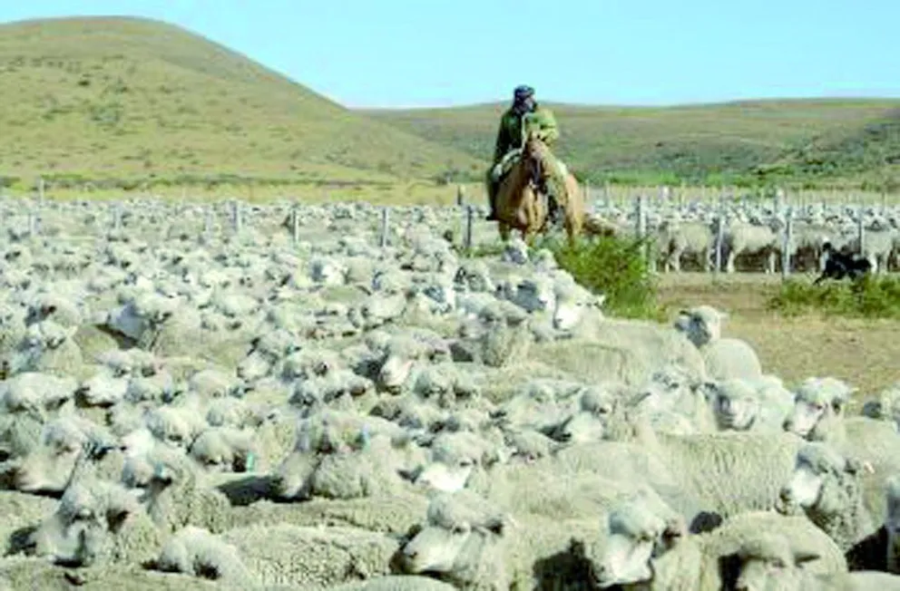 Sociedad Rural del Valle: “El año pasado  se cerraron más de 20 campos y este año  vamos por el mismo camino”, dijo Irianni