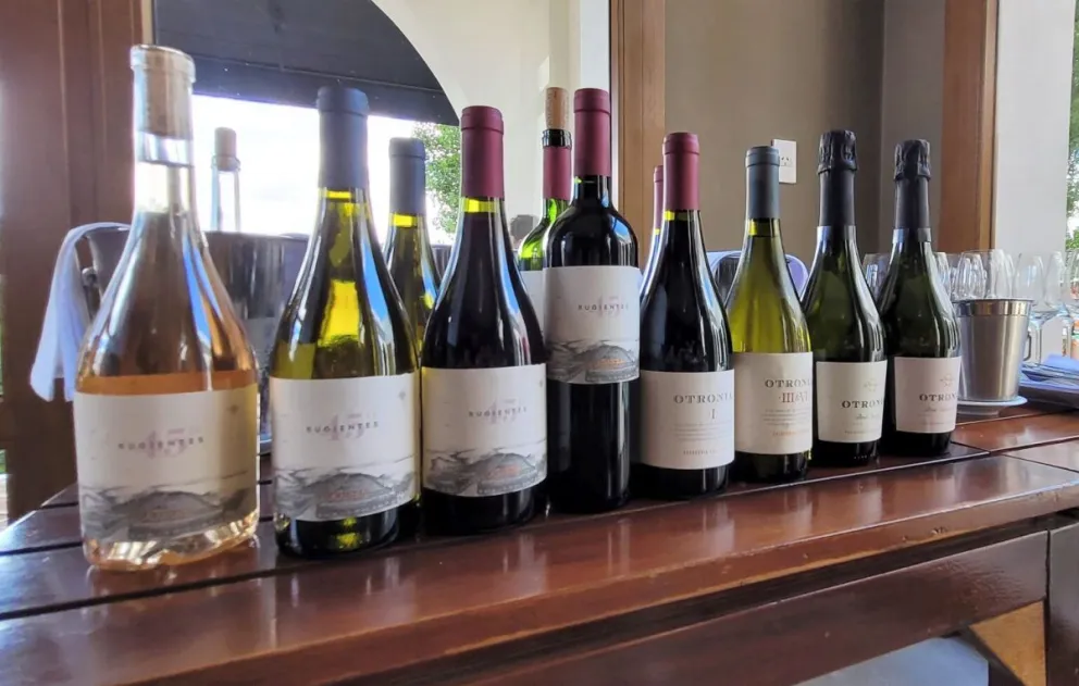 Otronia nominada a “Mejor Bodega del Nuevo Mundo” por Wine Enthusiast