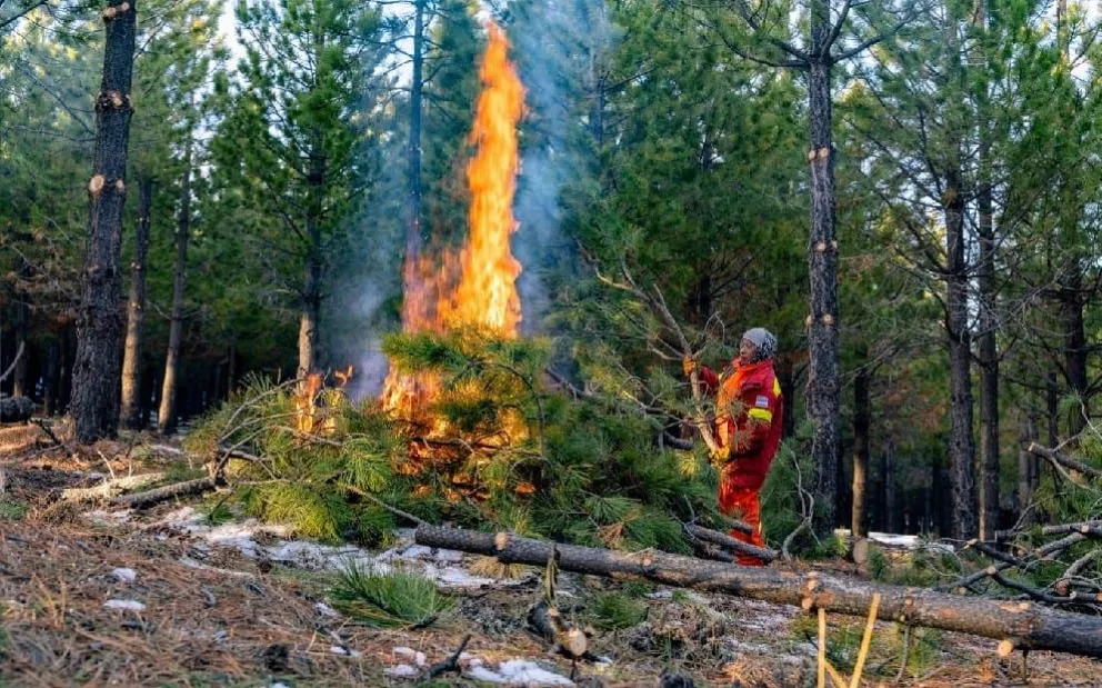 Provincia restringe horario de quema de residuos forestales y recuerda que próximamente finalizará el período permitido para la práctica