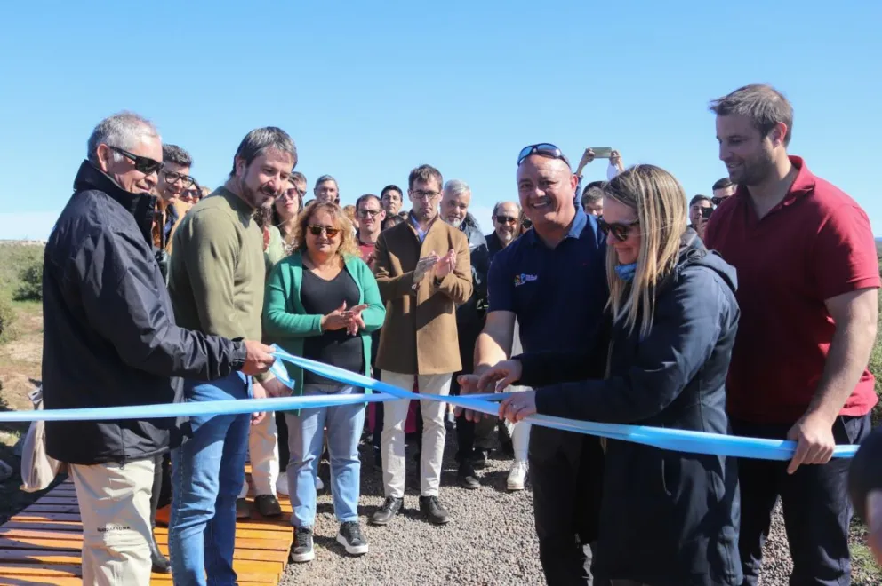Comenzó la temporada de Pingüinos de Magallanes en Punta Tombo