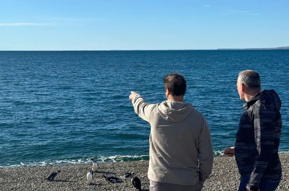 Funcionarios de Turismo y Ambiente recorrieron la colonia de pingüinos El Pedral