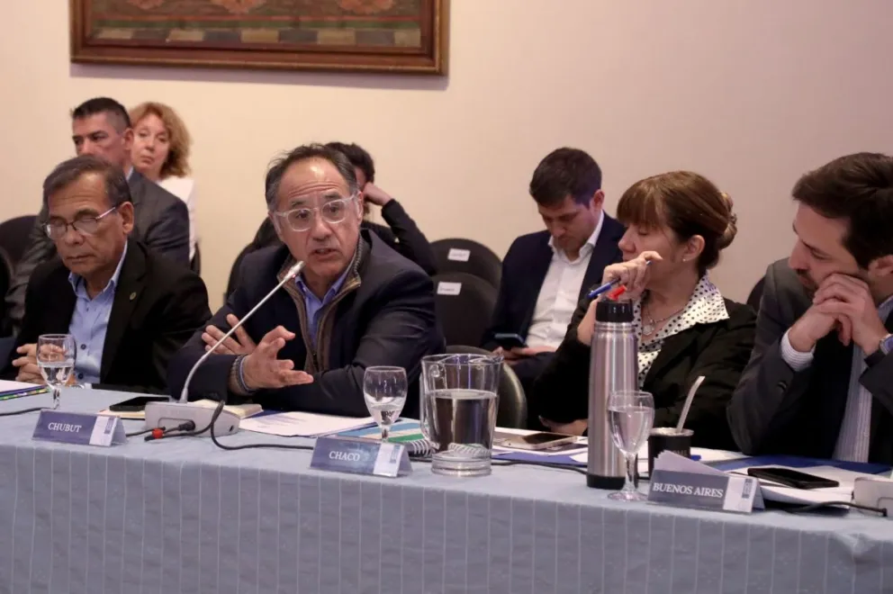 Chubut participó en Buenos Aires de una nueva reunión del Consejo Federal de Salud