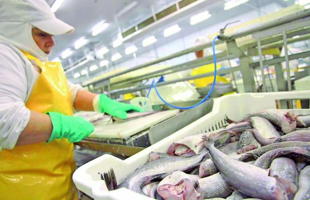 Pesca: Santa Cruz pidió suspender la cuotificación de la merluza hubbsi