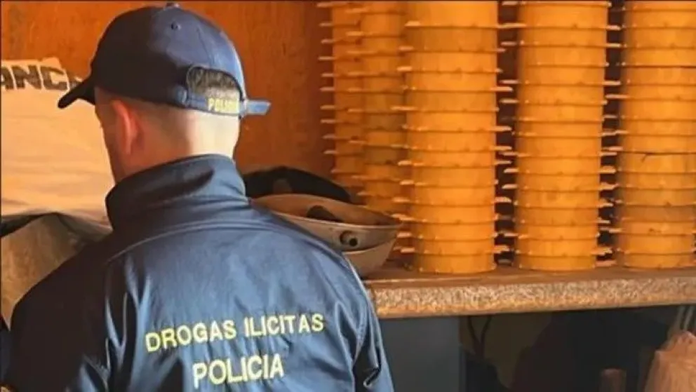Impactantes detalles de la banda narco que escondía más de media tonelada de marihuana dentro de un predio rural