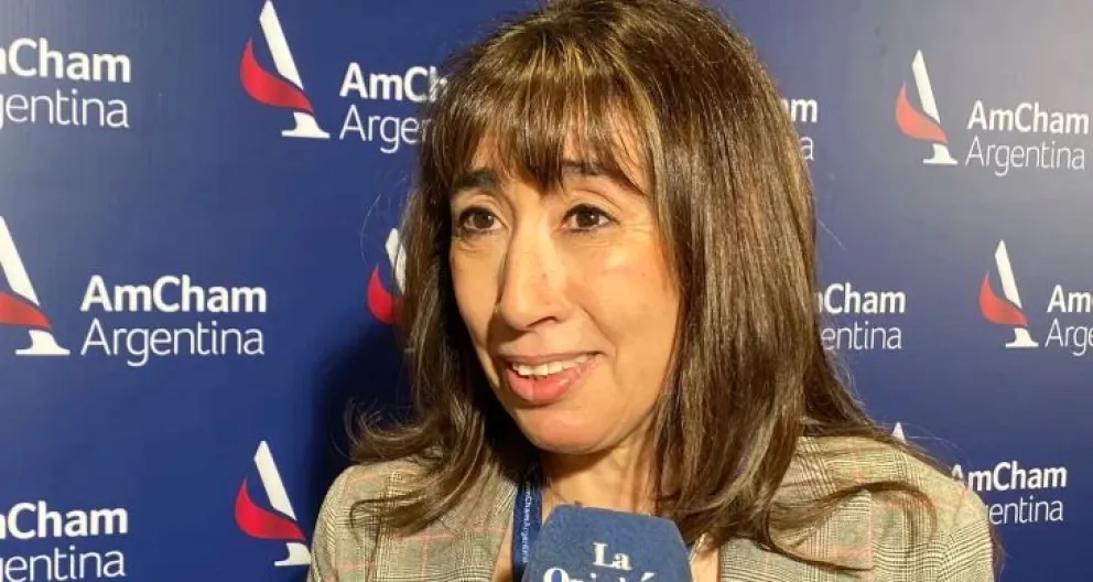 Amcham Energy Forum: “Santa Cruz necesita la aplicación del RIGI”, afirmó Roxana Reyes