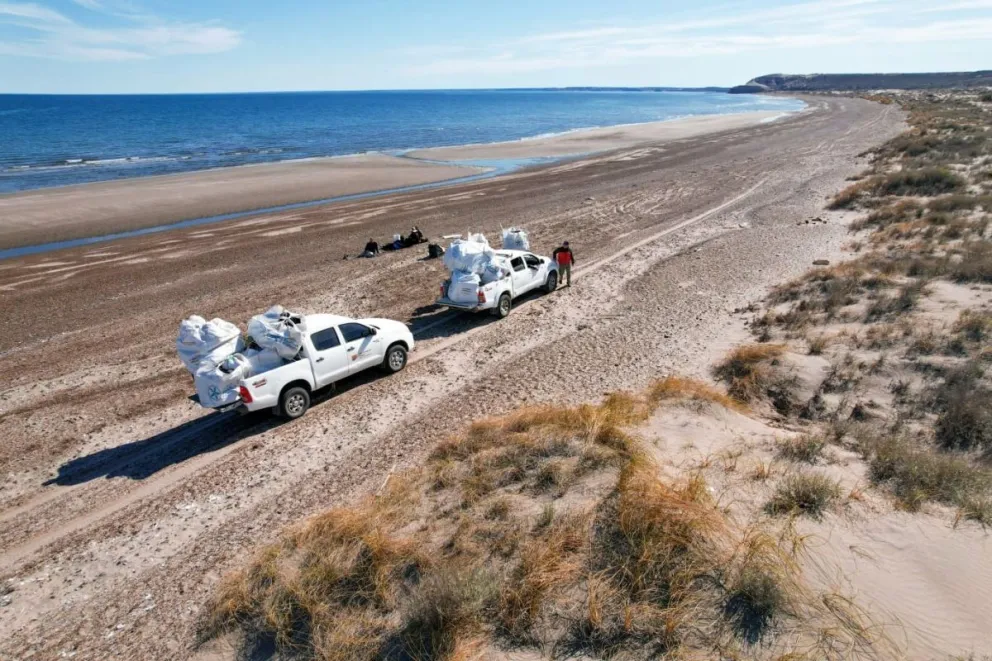 Península Valdés: El Gobierno del Chubut continúa con tareas de limpieza de playas