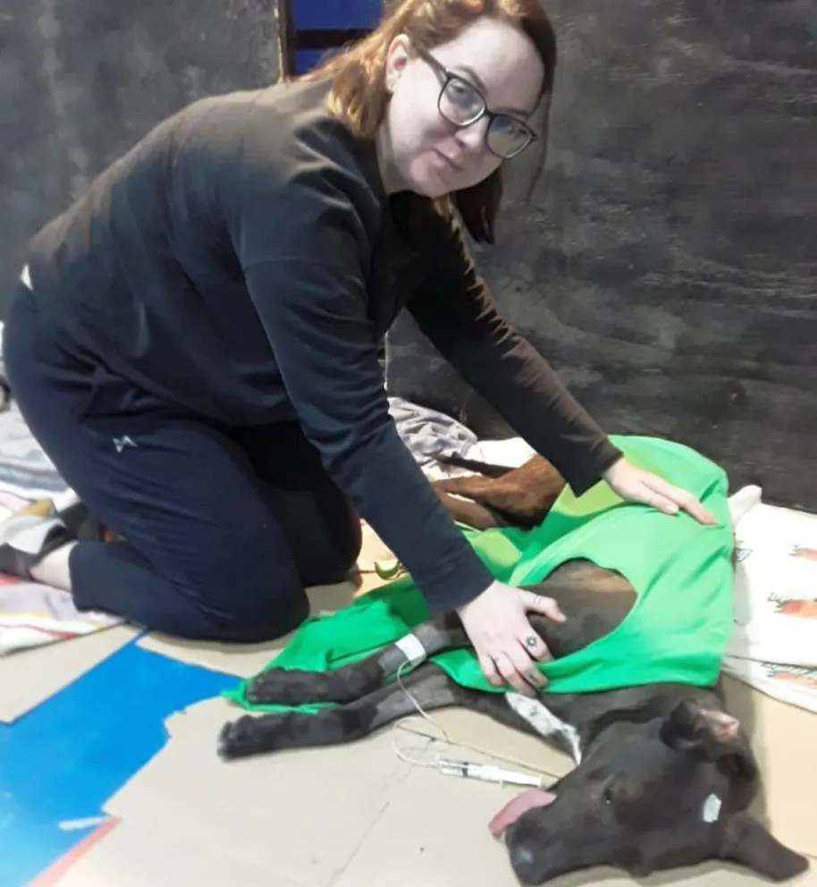 ALMA castró, desparasitó y vacunó contra la rabia a más de 70 perros y gatos de Comodoro
