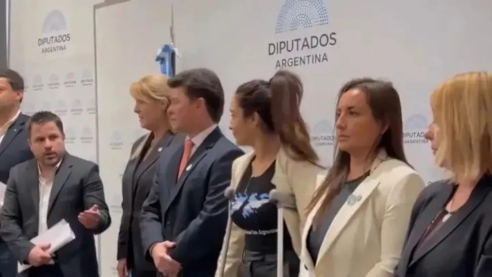 Una diputada llevó una remera de Malvinas y Martín Tetaz le pidió que se la cubra para "no ofender" a la embajadora inglesa