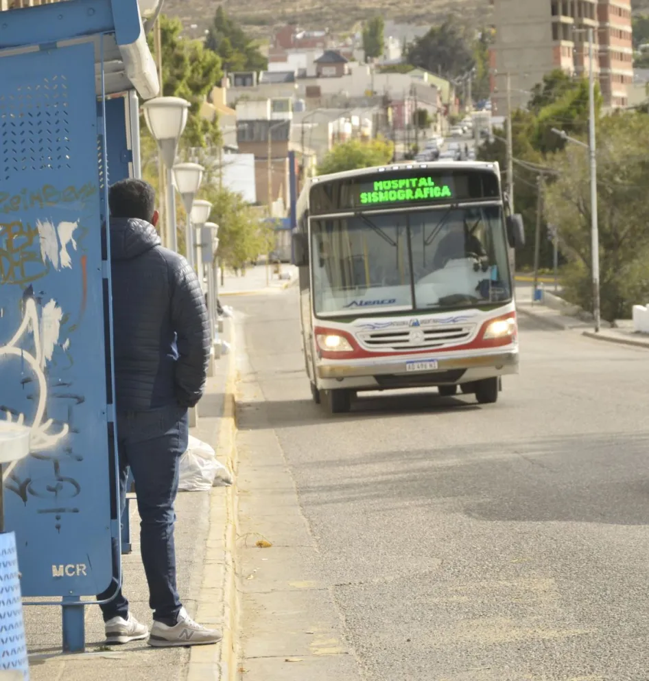 Transporte público: la próxima licitación va a ser “línea por línea”