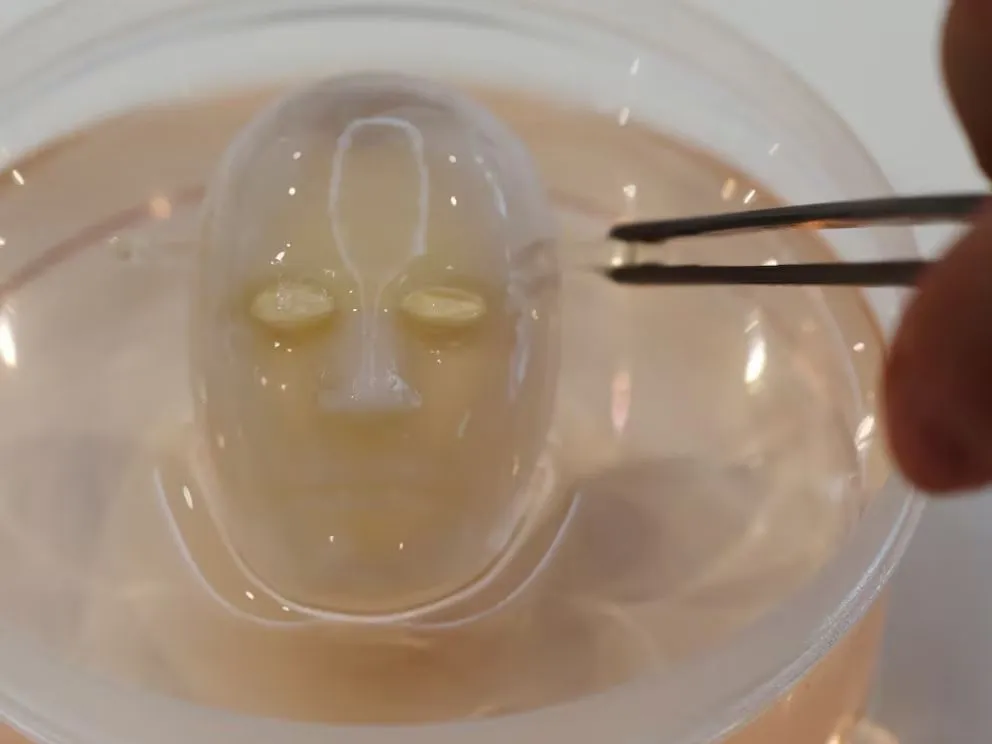 Científicos japoneses crearon un rostro robótico cubierto de piel viva capaz de sonreír