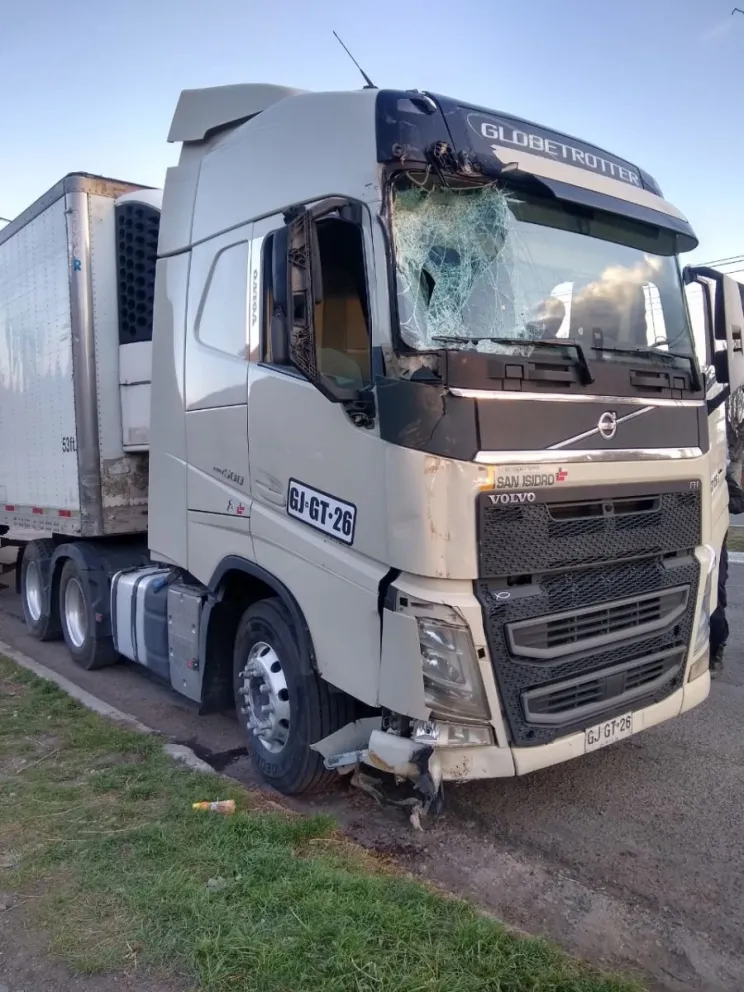 Camionero chileno conducía borracho por calles de Gobernador Costa, derribó 4 árboles y un poste de alumbrado público