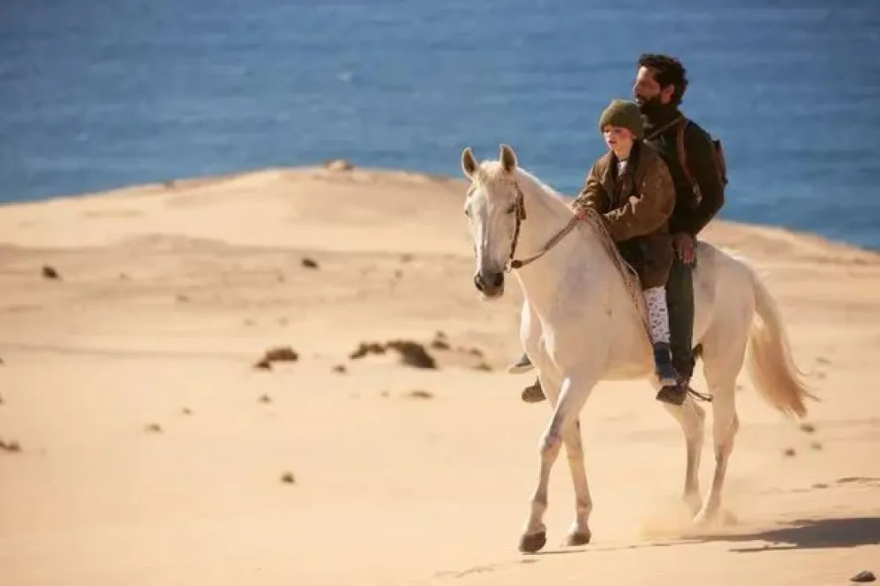 La tragedia de "Tordo", el caballo protagonista de una historia de esperanza