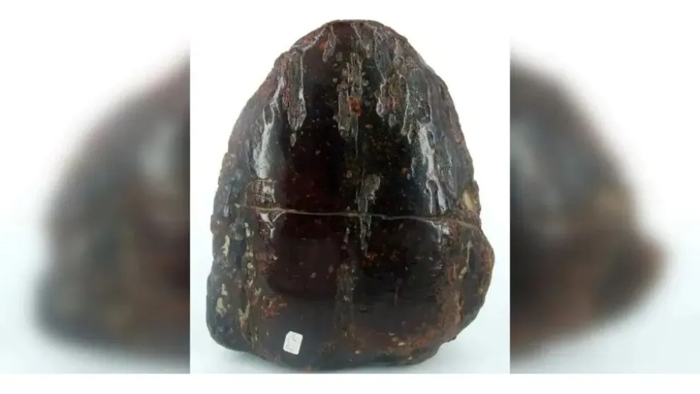 ¡Oh sorpresa!: trababa la puerta de su casa con una piedra preciosa de 1 millón de euros