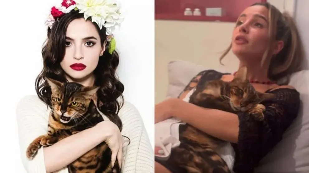 Brenda Asnicar compartió el particular velorio que le hizo a su gato, Bandido: el video