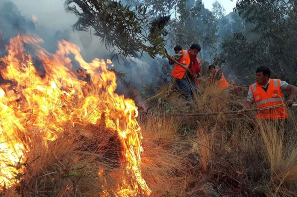 Incendios forestales: aumenta la preocupación por la salud respiratoria