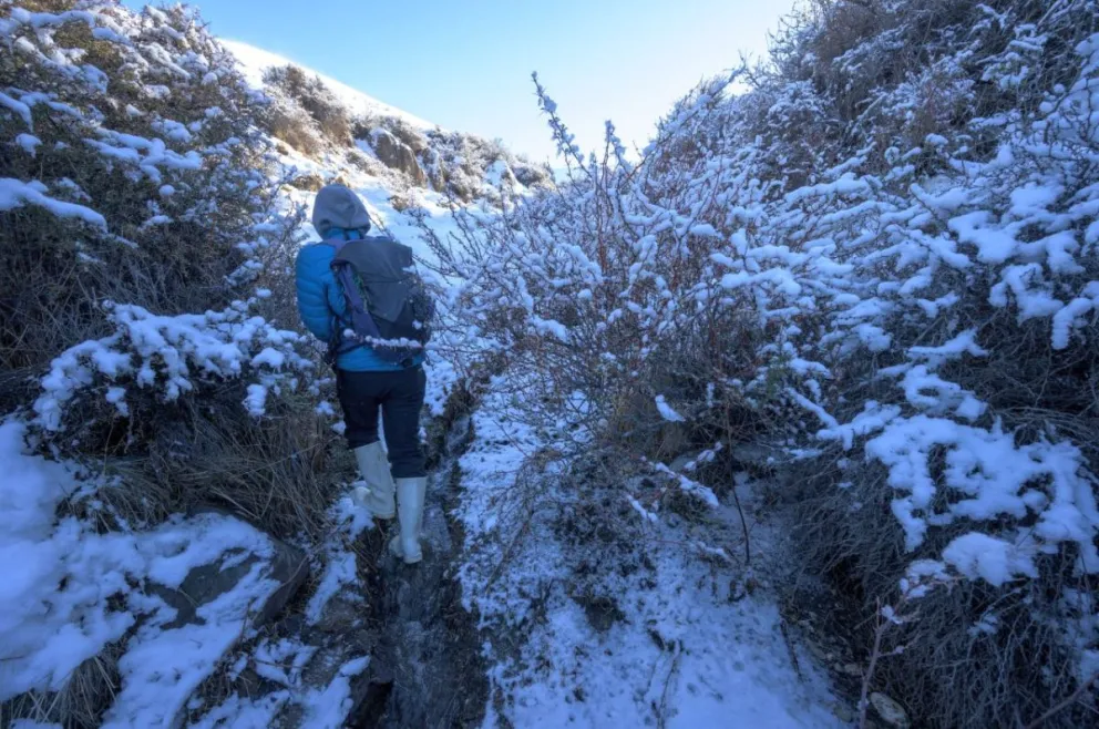 Cañadón Caracoles: el esfuerzo por restaurar los humedales y preservar la vida silvestre