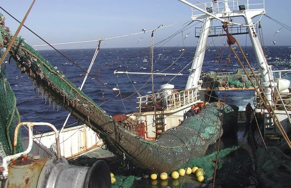 Nueva distribución de cuotas pesqueras: ¿se premia a los infractores de la ley?