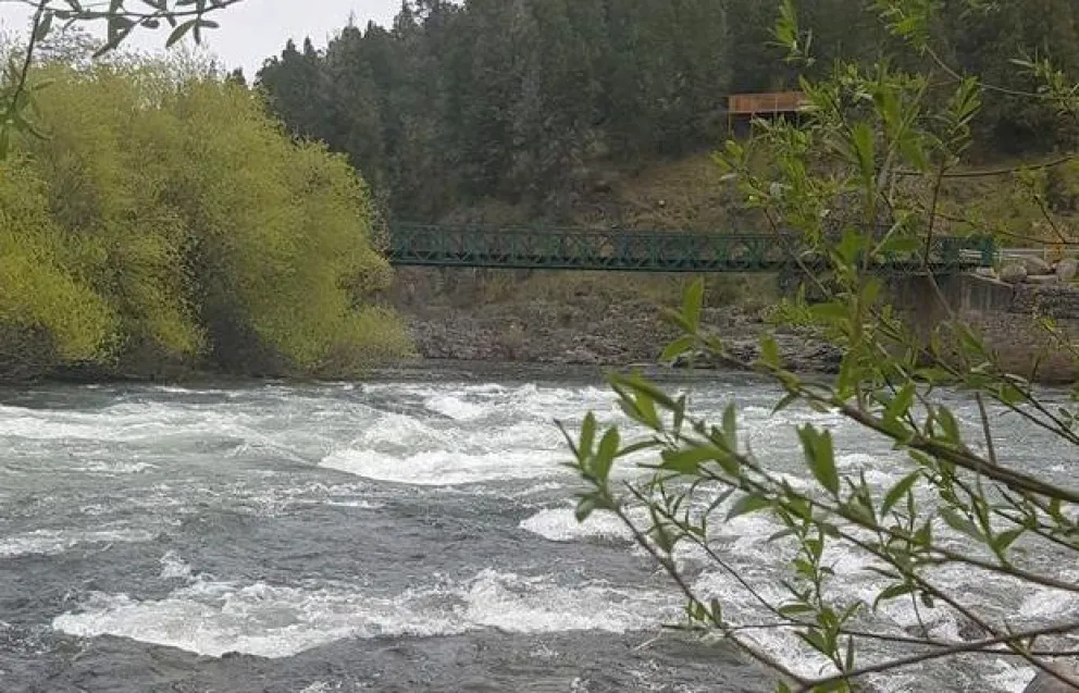 Provincia lanza la temporada de pesca del salmón del Pacífico
