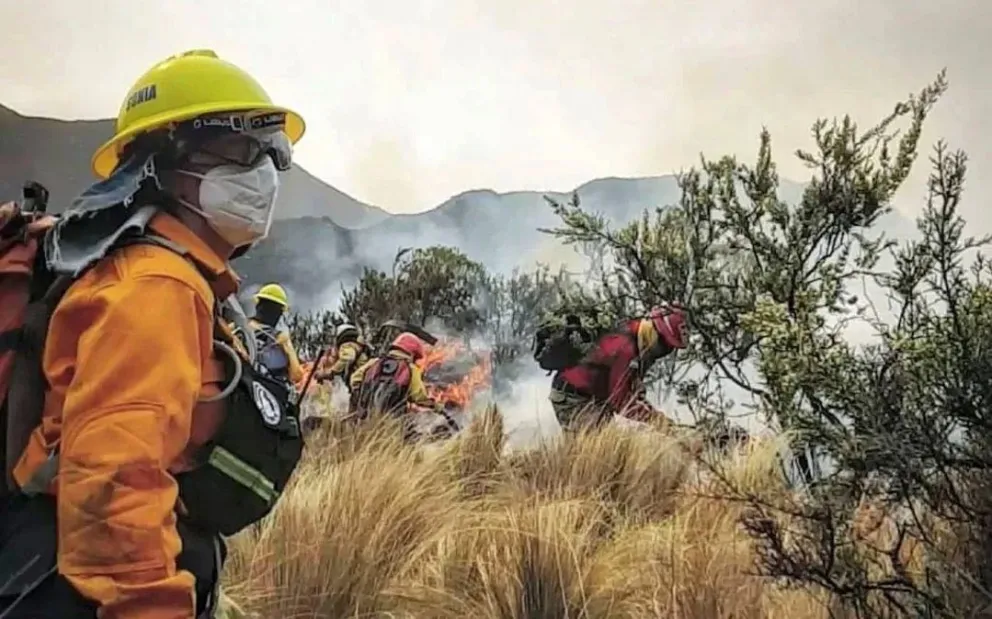 Por los incendios en Córdoba, declararon la emergencia ambiental