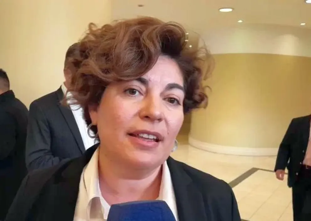 Boleta Única: “Con esto se va a respetar cabalmente la voluntad del elector”, dijo la diputada Romero