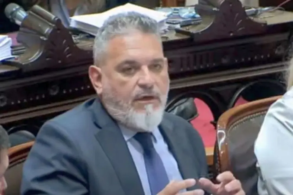 La emergencia por los incendios llegó al Congreso de la Nación