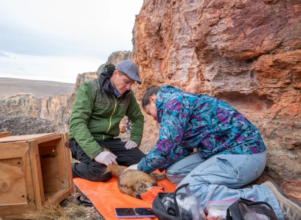 Desde adentro: vivir la conservación en El Unco y reconectar con la naturaleza