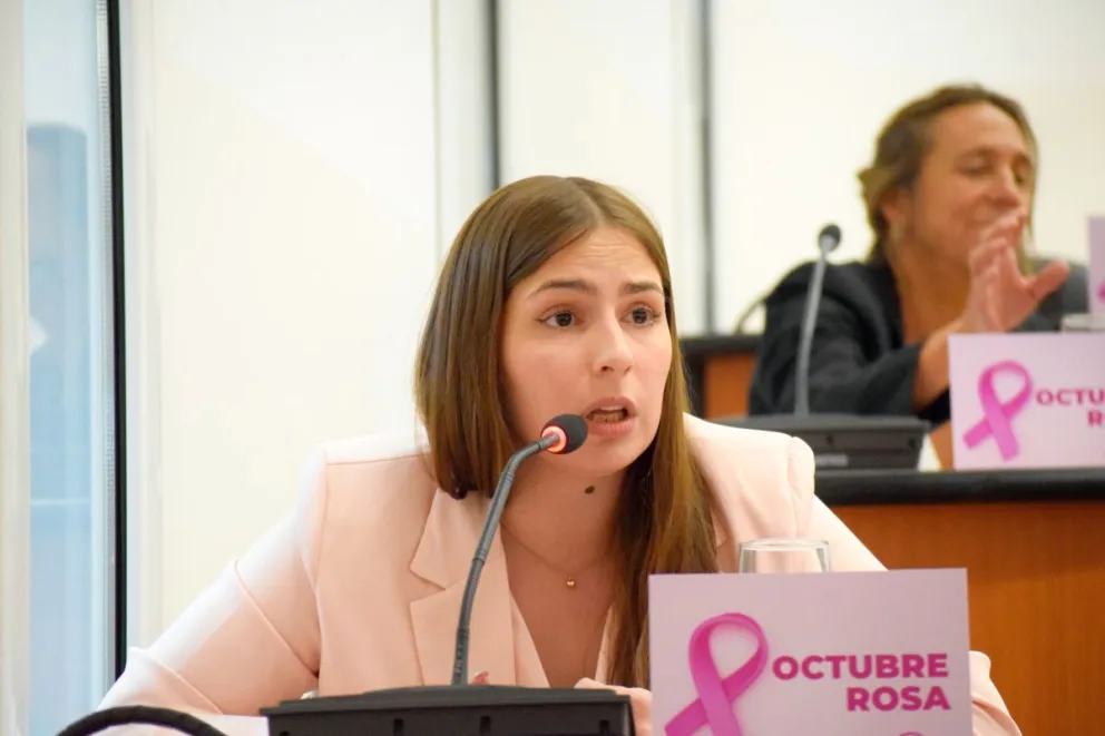 Ficha Limpia: Ingresó un proyecto al Concejo para que los candidatos a vecinalistas no posean antecedentes penales ni deuda alimentaria