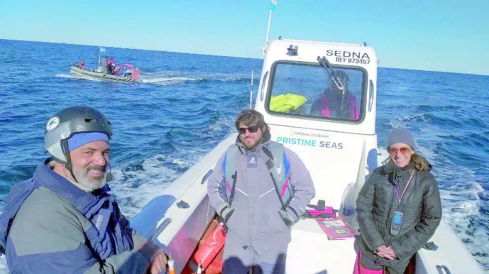 El Senado de la Nación declaró de interés al proyecto sobre Cetáceos del Golfo San Jorge y al estudio sobre Orcas de Península Valdés