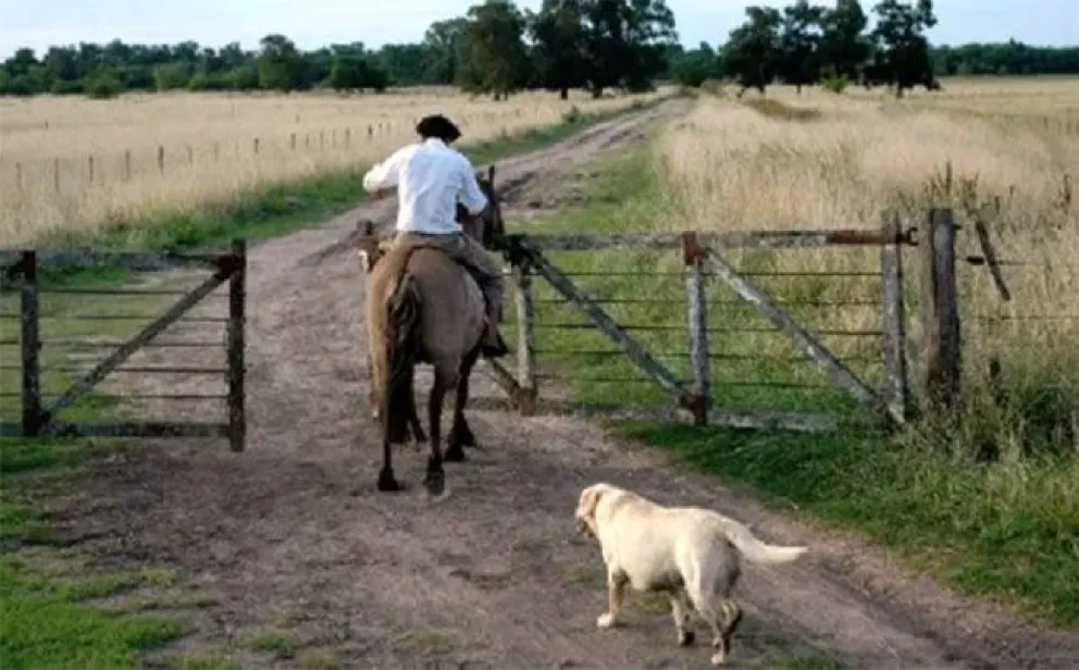 Este 8 de Octubre se celebra el Día del Trabajador Rural argentino