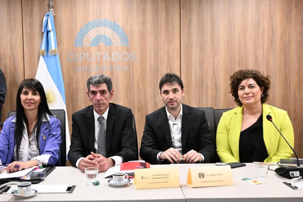 Torres defendió en Diputados el proyecto que apunta a impulsar la industria del hidrógeno verde en Argentina
