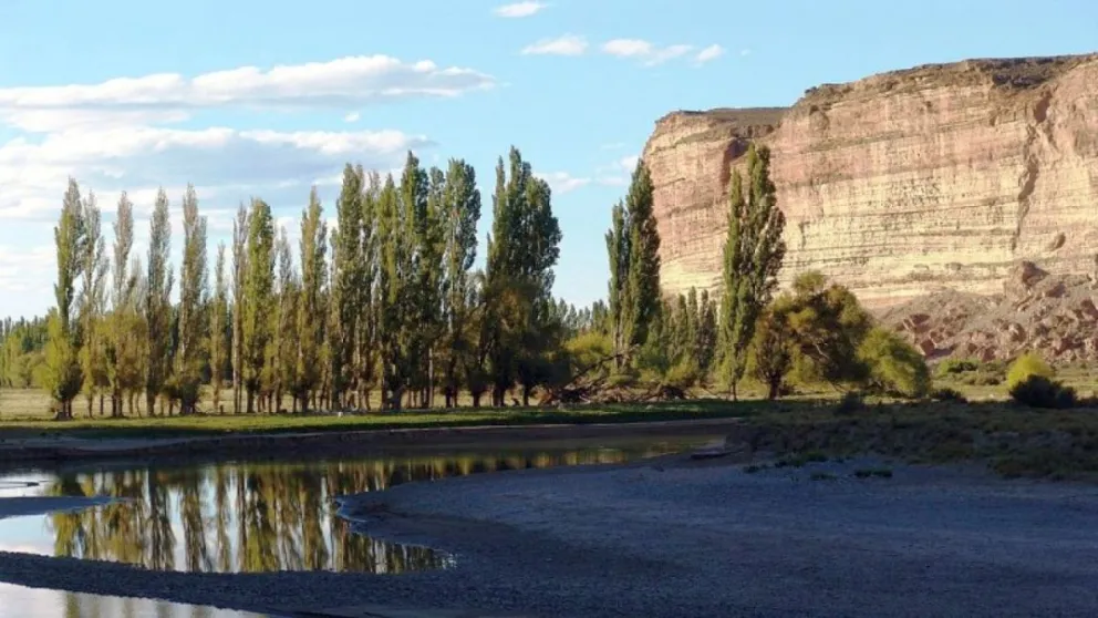El Valle de Gondwana: Una ruta al pasado de la Patagonia