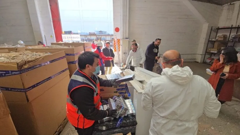 Chile: Funcionarios de aduanas secuestraron marihuana y hongos alucinógenos en diversos operativos