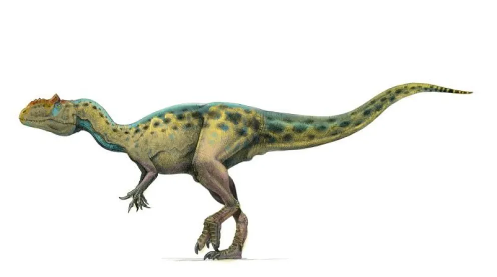 Dinosaurio patagónico ofrece inédita información sobre evolución genética