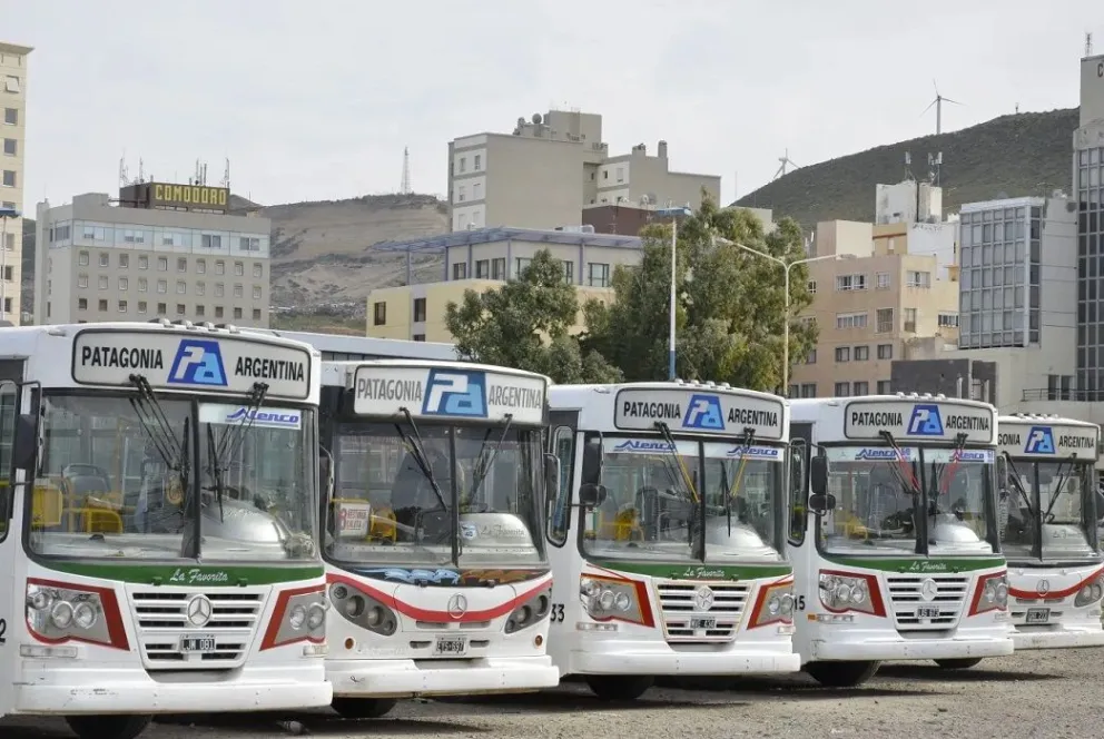 Se aproxima la audiencia pública por el transporte público en Comodoro.